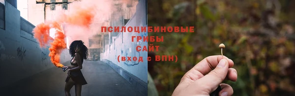 мескалин Богородицк