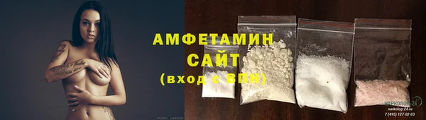 PSILOCYBIN Бородино