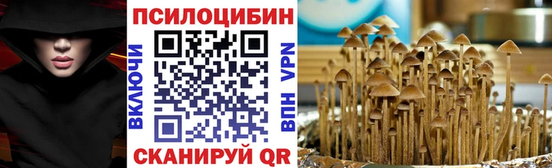 Галлюциногенные грибы Cubensis  магазин    Миньяр 